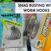 Shinto Pro Worm Hooks Image