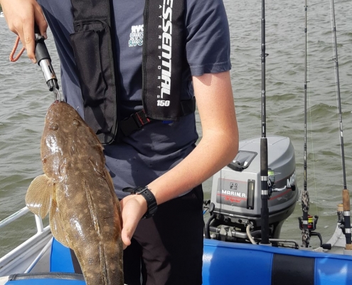 Caught a 70cm flathead on run out tide using an America made soft plastic on a 1-3 kg rod, 2500 abu Garcia real matched with 8 lb line