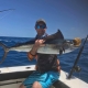 Gregg Chapman The Secret Spot Tackle World Yeppoon Sail Fish