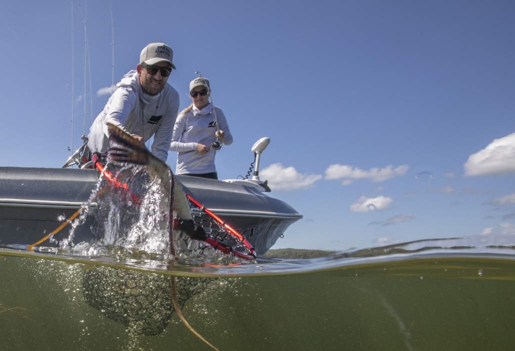 catching flathead using net